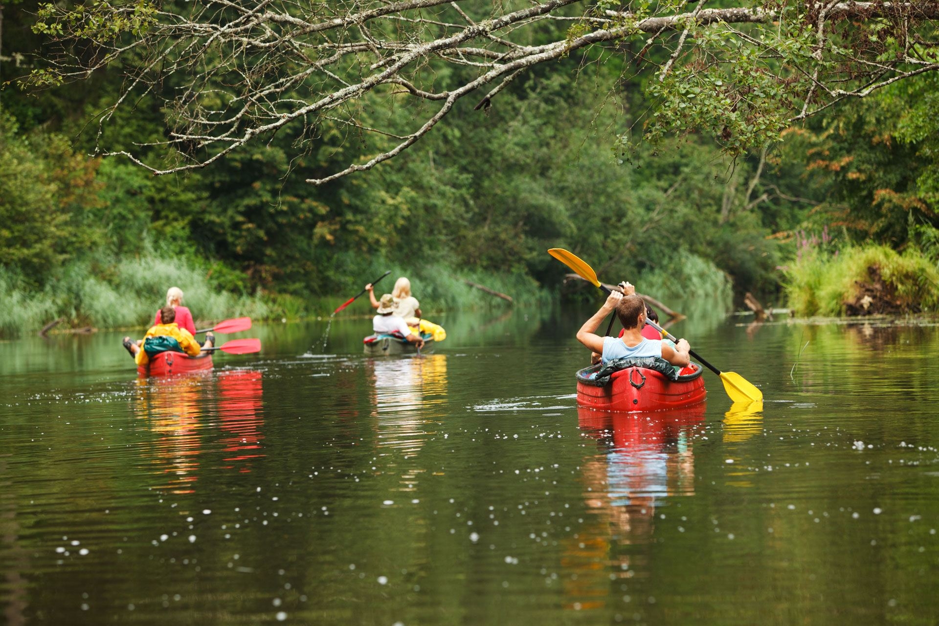 Trip in Slovakia Danube canoe trips