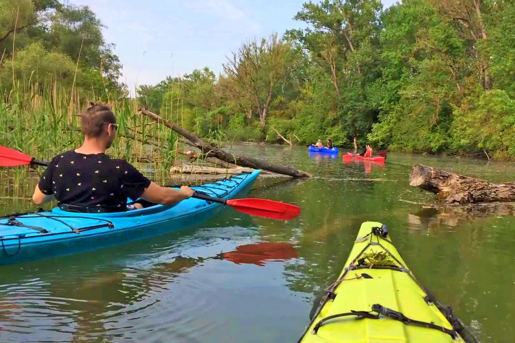 Day trip: Explore Danube wilderness