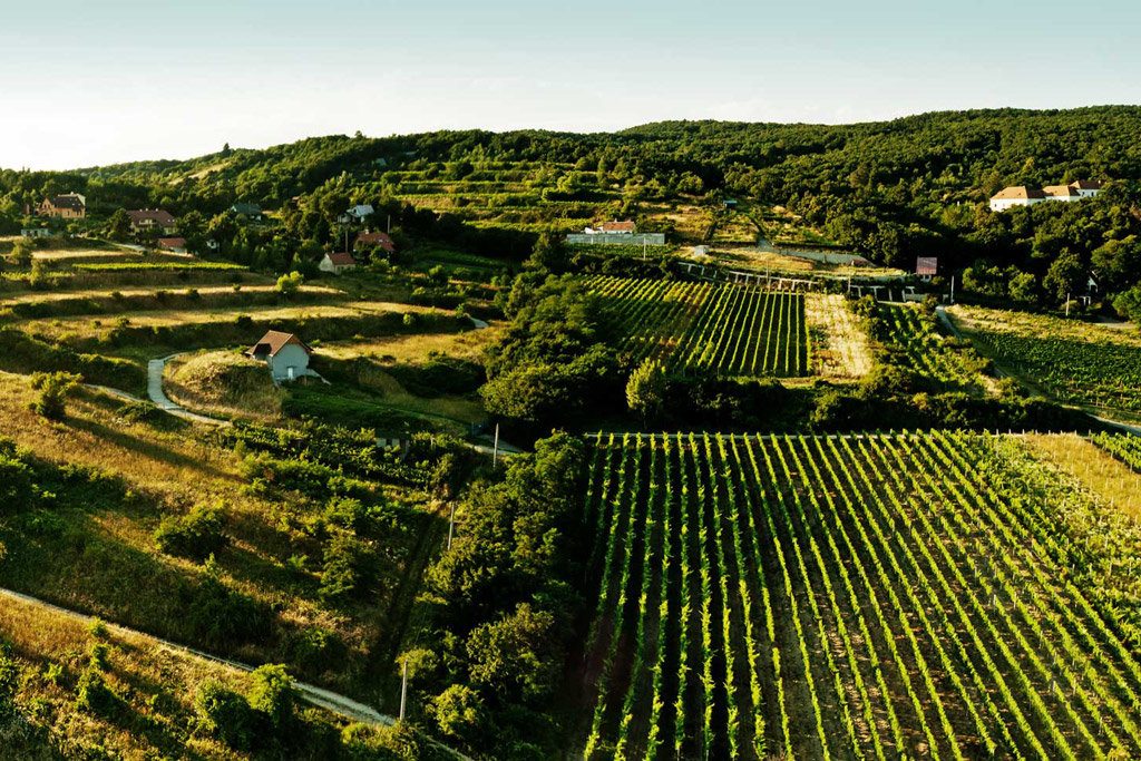 Experience Slovakia Tour
