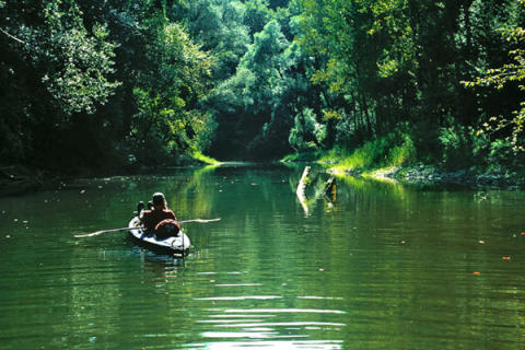 Booking: Explore Danube wilderness