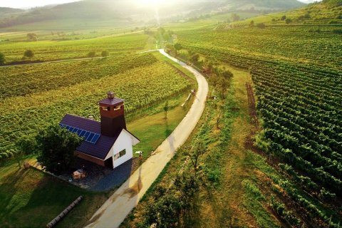 Little tour of Small Carpathians<BR><H4>From 89 €<BR>Explore Bratislava region<BR>in half-day trip</h4>