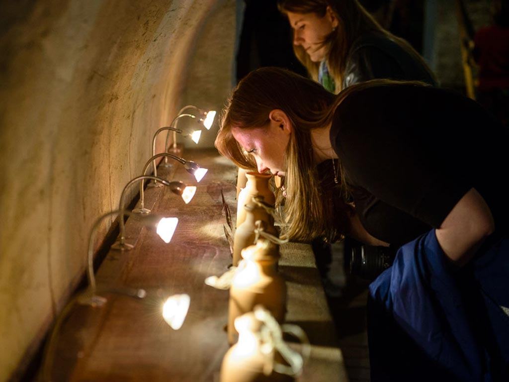 6. Small Carpathian wine museum & exposition