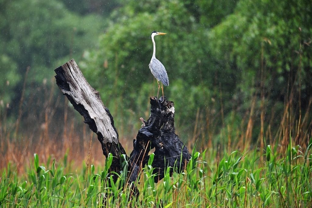 Admire rich fauna & flora in Protected landscape area