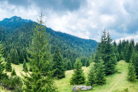 Hiking-in-Janosikove-diery-Trip-in-Slovakia-20