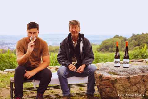 Afternoon in the vineyards with a winemaker