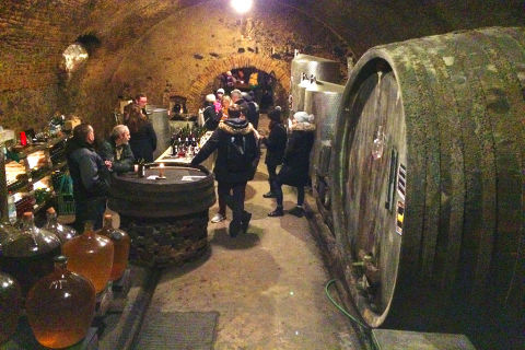 Small-Carpathian-wine-tour-near-Bratislava-TRIP-IN-SLOVAKIA