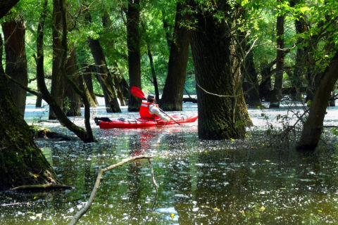 Explore Danube wilderness - TRIP IN SLOVAKIA