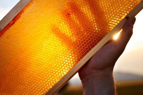 Honey wine tour in Smolenice, Slovakia