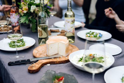 Wine tasting and Dinner with local wine producer near Bratislava