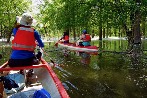 Explore Danube wilderness - TRIP IN SLOVAKIA