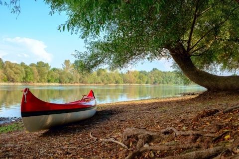 Trip-in-Slovakia---Danube-caoeing,-river-bank-break