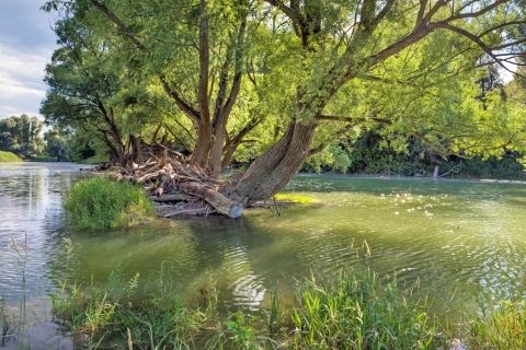 Trip-in-Slovakia---Explore-Danube-wilderness-on-canoe-5