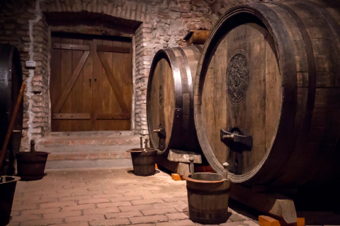 Small-Carpathian-wine-museum-and-exposition-in-Bratislava-region-TRIP-IN-SLOVAKIA